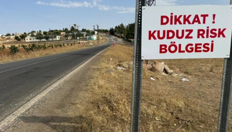 Niğde’de 1 Kişiyi Hastanelik Eden Başıboş Köpek Öldü, Mahalle Karantinaya Alındı