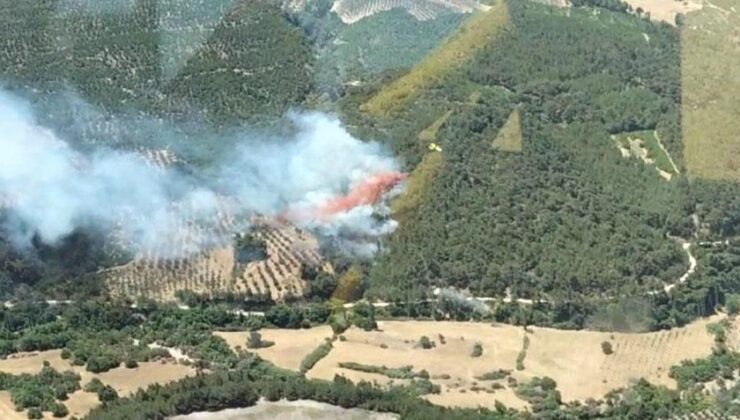 Orman Yangınları ile Mücadele! Ekiplerin Canhıraş Müdahalesi Sürüyor