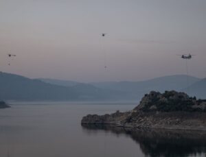 Orman Yangınlarına Karşı Risk Haritaları: Tahmin ve Erken Müdahale İmkanı Sağlıyor