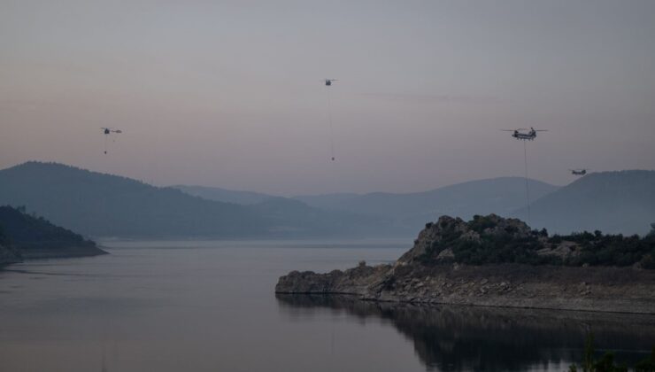 Orman Yangınlarına Karşı Risk Haritaları: Tahmin ve Erken Müdahale İmkanı Sağlıyor