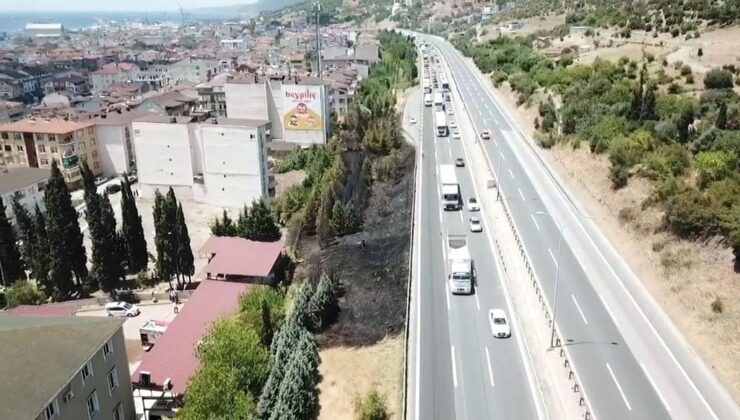 Otoyol Kenarındaki Ağaçlar Yandı: Trafik Kısa Süre Durdu