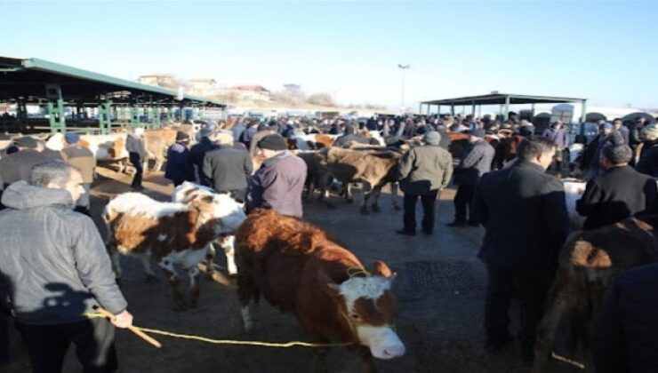 Sahte Altınla Kurbanlık Aldığı Ortaya Çıktı!