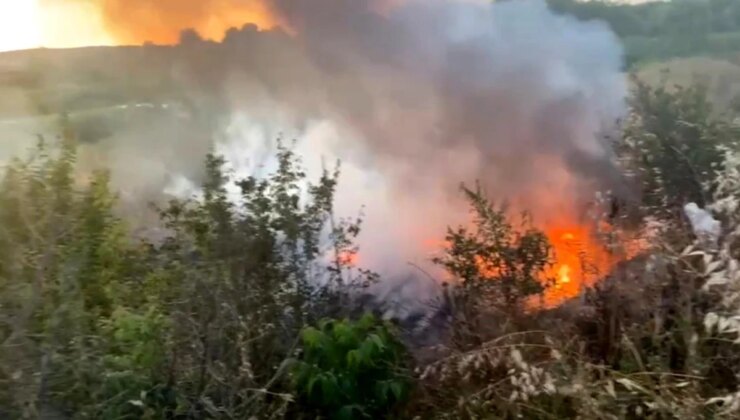 Samsun’da Kızılırmak Kenarındaki Yangın Kontrol Altına Alındı