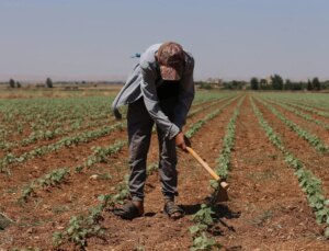 Şanlıurfa’da Sıcak Hava Nedeniyle Çalışanlar Zor Günler Geçiriyor