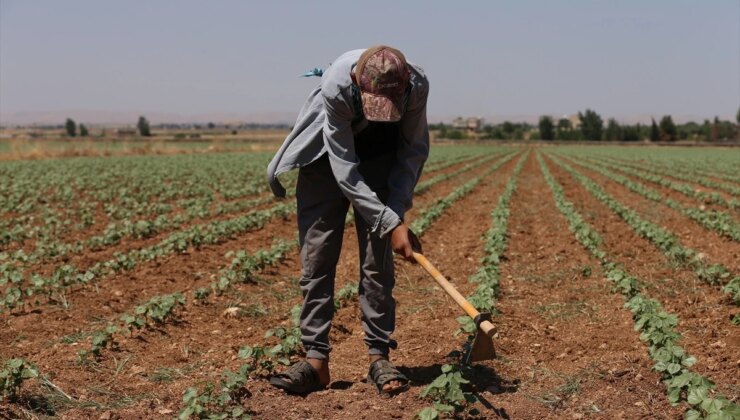 Şanlıurfa’da Sıcak Hava Nedeniyle Çalışanlar Zor Günler Geçiriyor