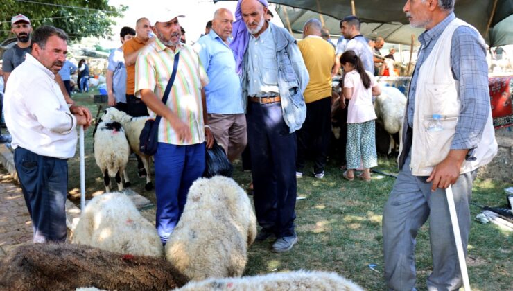 Şanlıurfa’daki Hayvan Pazarlarında Hareketlilik Sürüyor