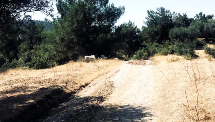 Şehzadeler Belediyesi, Çınarlıkuyu Mahallesi’nde Yol Bakım ve Tamirat Çalışması Gerçekleştirdi