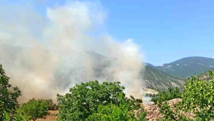 Sinop’ta Tarım Yeri ve Samanlık Yangında Zarar Gördü