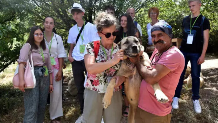 Sivas Kangallarını Görmek İçin Yunanistan ve Macaristan’dan Geldiler