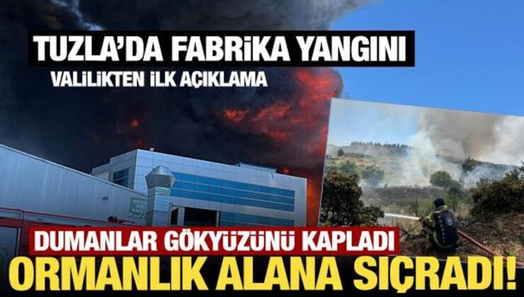 Son Dakika… Tuzla’da Fabrika Yangını: Bitişikteki Fabrikaya ve Ormanlık Alana Sıçradı!