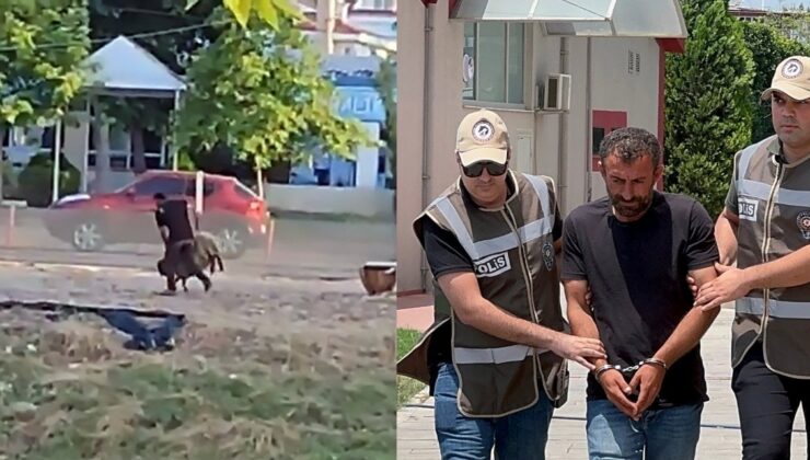 Sürüden Ayrıldığı İçin Darp Ettiği Koyun Öldü, Besici Gözaltında