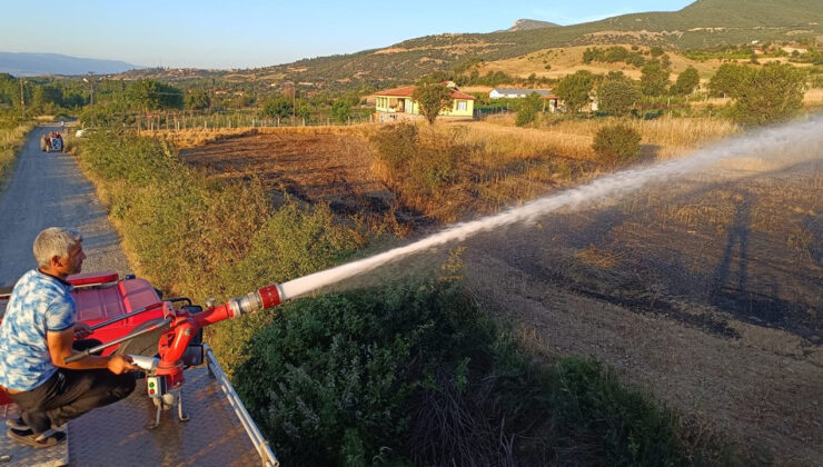 Tarlada Yangın Çıktı, 6 Dönüm Buğday Heba Oldu