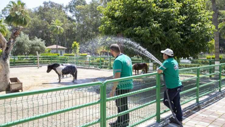 Tarsus Tabiat Parkı’nı Bayramda 16 Bin Kişi Ziyaret Etti.