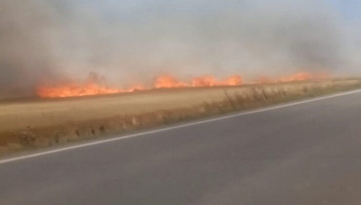 Tekirdağ’da 180 Dönüm Buğday Cayır Cayır Yandı: 3 Yaralı