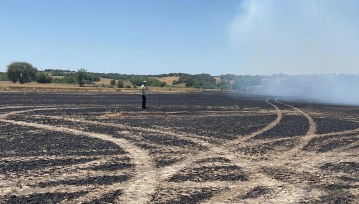 Tekirdağ’da Anız Yangını! 50 Dönüm Ekili Buğday Küle Döndü