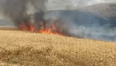 Tokat’ta Ekili 10 Dönüm Buğday Yandı