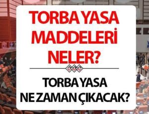 Torba Yasa 2024 Son Durum | Torba Yasa Meclis’e Geldi Mi, Ne Zaman Çıkacak? 3600 Ek Gösterge, Taşerona Takım, Bağkur Prim Gün Sayısı, 9. Yargı Paketi Torba Maddede Var Mı?