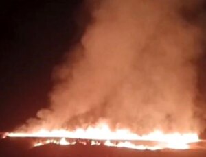 Tunceli’de Çıkan Yangında 100 Dönümlük Ekili Alan Zarar Gördü