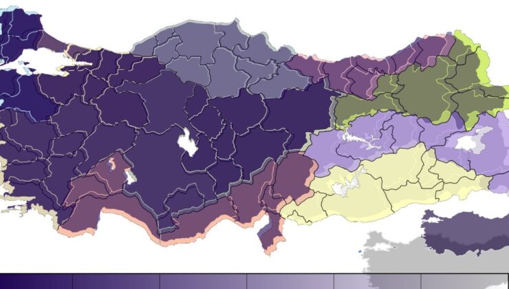 Türkiye’nin En Zeki İlleri Belli Oldu: İşte Türkiye’de En Yüksek Zekaya Sahip 10 Şehir