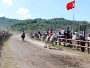 Ünye’de Binicilik Federasyon Yarışları Heyecan Dolu Anlar Yaşattı