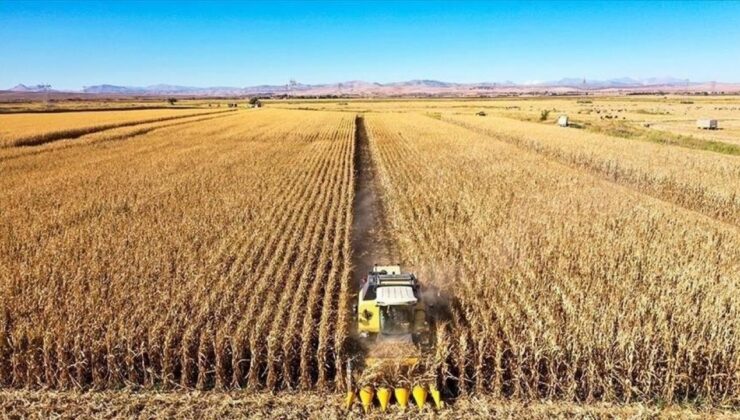 Ziraî Girdi Fiyat Endeksi, Nisanda Aylık Yüzde 1,72, Yıllık Yüzde 52,2 Arttı