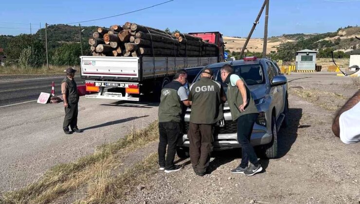 Zonguldak Orman Bölge Müdürlüğü, Karabük-Yenice Yolunda Tedbire Aramaları ve Yol Kontrol Kontrollerine Devam Ediyor