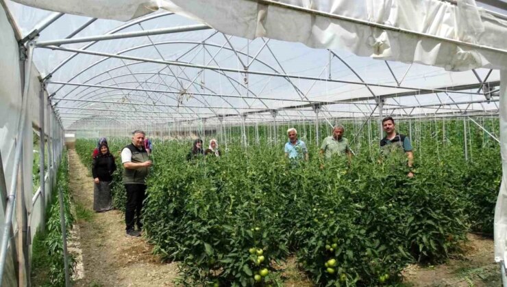 Zonguldak Orman Bölge Müdürlüğü, Orman Köylülerine Seracılık Kredisi Sağlıyor