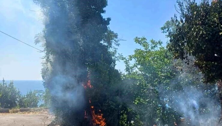 Zonguldak’ta Anız Yangınına Ekipler Müdahale Etti