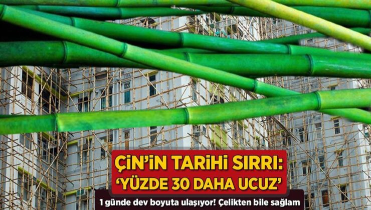 1 Günde Dev Boyuta Ulaşıyor, Çelikten Bile Sağlam! Çin’in Sırrı: ‘Yüzde 30 Daha Ucuz’