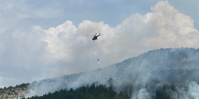 3 İlde Yangınla Mücadele Sürüyor