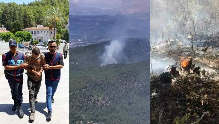 4 Hektar Olmanın Zarar Gördüğü 3 Yangını Çıkaran Çobana Tutuklama: Görevlilere Kızdım, Yaktım