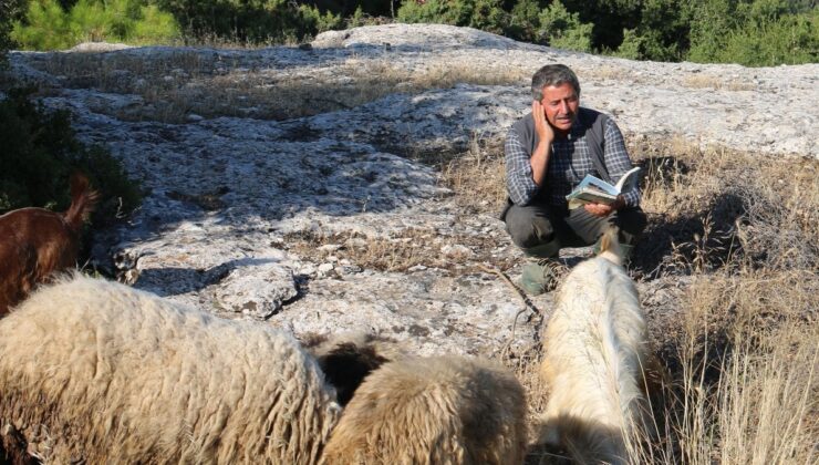 50 Yaşındaki Çoban, Keçilerinden Aldığı İlhamla Şiir Yazıyor