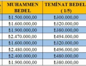 8 İlçede 86 Yeni T Plaka İçin İhale Yapılacak