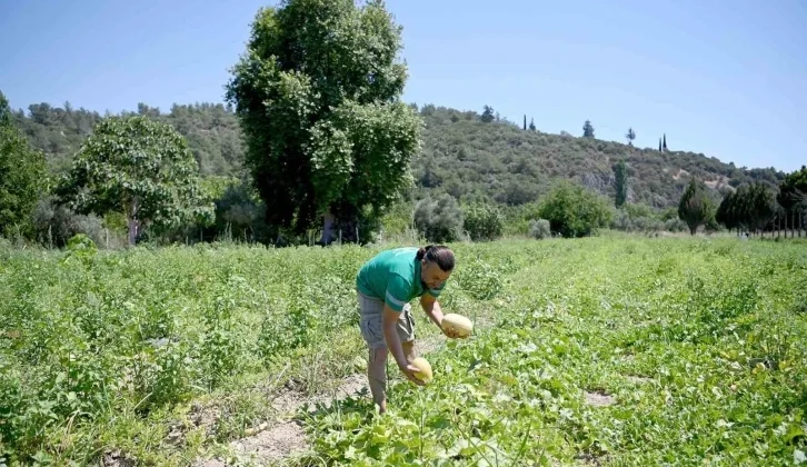 Adabahçe’yi Yazın Rahmeti Sardı