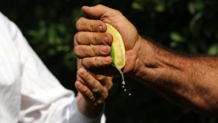 Adana’da Limonun Fiyatı Cep Yakıyor: Pazarda Kilosu 80 Tl