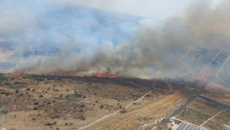 ADD Bursa Şubesi’den Ağaçlandırma Kampanyasına Destek