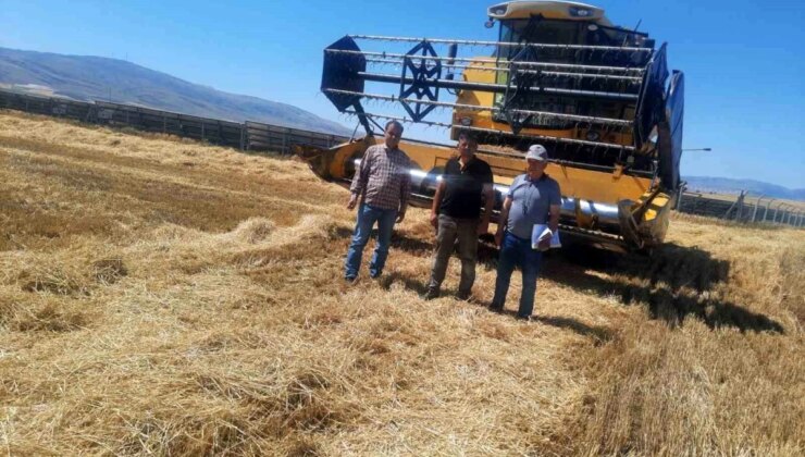 Afyonkarahisar Sandıklı’da Hububat Hasadı Başladı