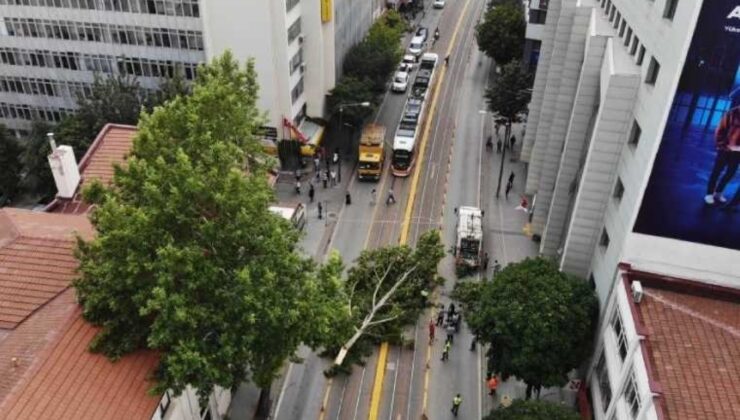 Ağaç Dalı Yaya ve Araç Trafiğinin Ortasına Düştü, Facia Kıl Payı Atlatıldı