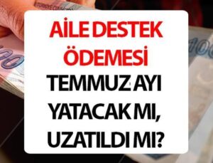 Aile Destek Bitti Mi, Uzatıldı Mı 2024 || Temmuz Ayı Aile Destek Ödemesi Ne Zaman Yatacak 2024, Yatacak Mı? İşte Son Ödeme Tarihi Bilgisi!