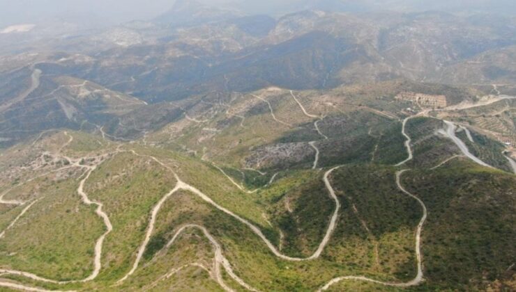 Antalya’daki Yangın Sonrası Bölge Yeniden Yeşermeye Başladı