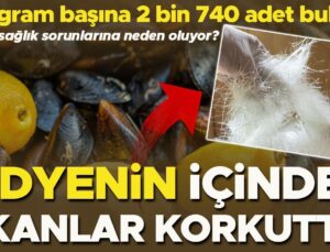 Araştırma Sonucu Şaşırttı: Midyenin İçinden Çıkanlar Korkuttu! ‘Kilogram Başına 2 Bin 740 Adet Bulduk’ | Hangi Sağlık Sorunlarına Neden Oluyor?