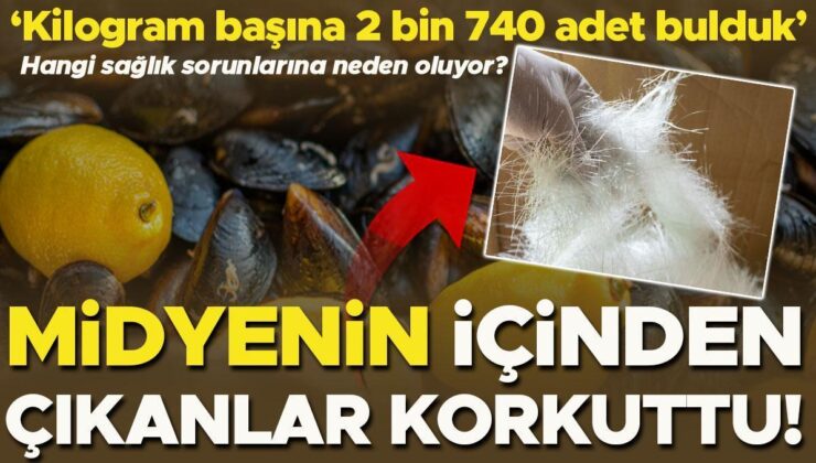 Araştırma Sonucu Şaşırttı: Midyenin İçinden Çıkanlar Korkuttu! ‘Kilogram Başına 2 Bin 740 Adet Bulduk’ | Hangi Sağlık Sorunlarına Neden Oluyor?