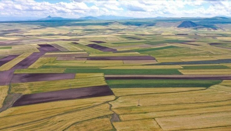 Arsa Alacaklara Çok Önemli Uyarı! Uzmanlar Tek Tek Açıkladı