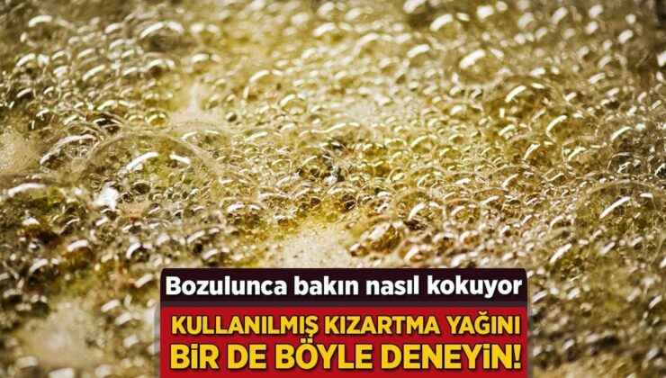 Arta Kalan Kızartma Yağını Böyle Deneyin! Dumanlanma Noktasına Dikkat, Kokusu Berbat