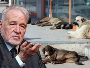 Atatürk, Sokak Köpeği Meselesini Nasıl Çözdü? Prof. Dr. İlber Ortaylı Anlattı