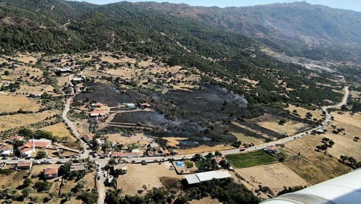 Aydın’daki Yangın Zeytin Ağaçlarını Küle Çevirdi