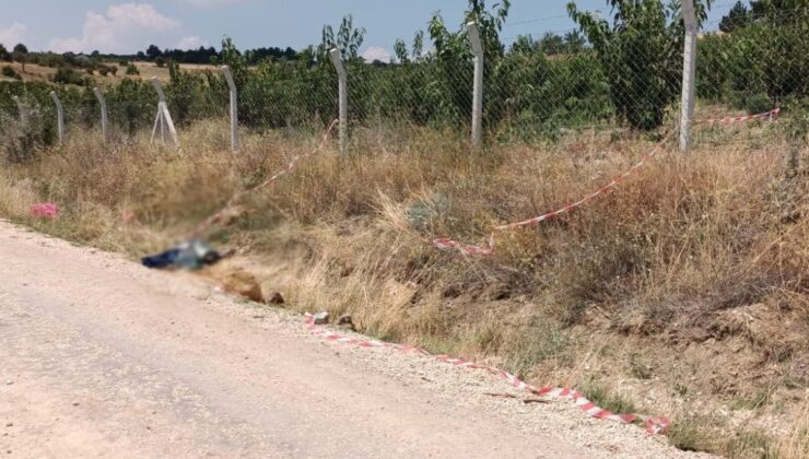 Baba Oğulun Tarladaki Arbedesinde Kan Döküldü