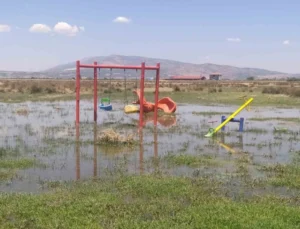 Bakımsız Kalan Kanallar Merayı Bataklığa Çevirdi