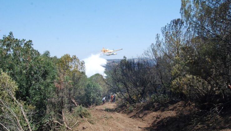 Balıkesir, Çanakkale ve Antalya’da Orman Yangını: Havadan ve Karadan Müdahale Ediliyor