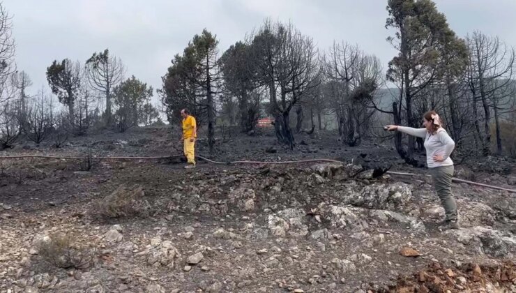 Balıkesir’deki Orman Yangınına Havadan Müdahale Devam Ediyor